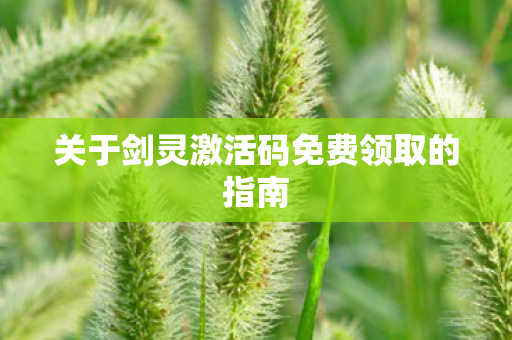 关于剑灵激活码免费领取的指南图片