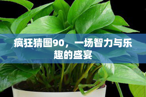 一场智力与乐趣的盛宴图片
