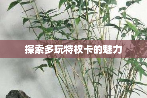 探索多玩特权卡的魅力图片