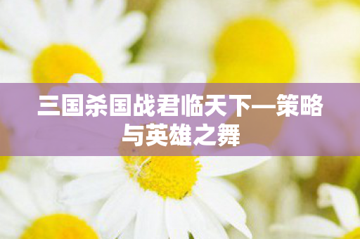 三国杀国战君临天下图片