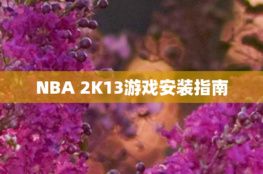 NBA 2K13游戏安装指南图片