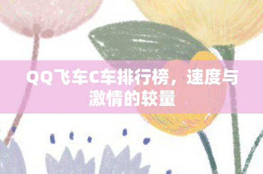 QQ飞车C车排行榜图片