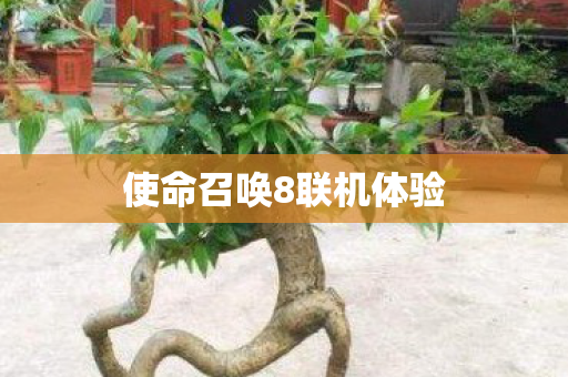 使命召唤8联机体验图片
