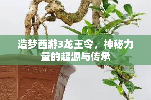 神秘力量的起源与传承图片