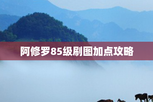 阿修罗85级刷图加点攻略图片