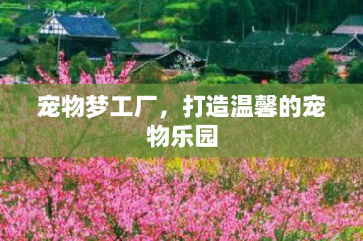 打造温馨的宠物乐园图片