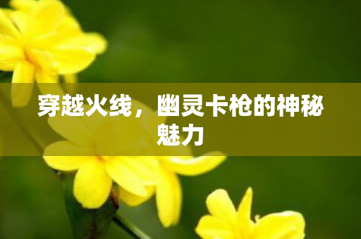 幽灵卡枪的神秘魅力图片