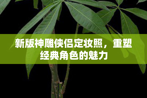 新版神雕侠侣定妆照图片