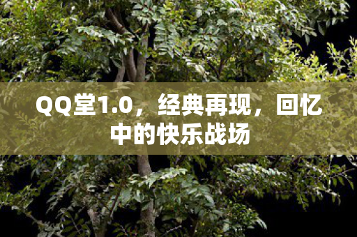 回忆中的快乐战场图片