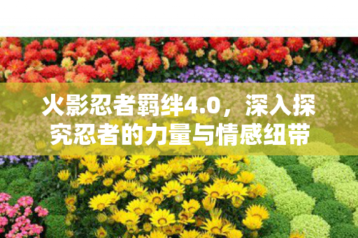 深入探究忍者的力量与情感纽带图片