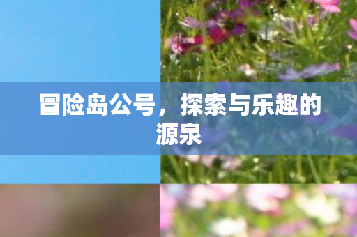 探索与乐趣的源泉图片