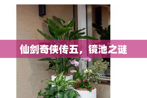 仙剑奇侠传五图片