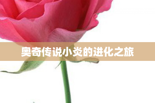 奥奇传说小炎的进化之旅图片