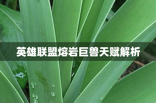 英雄联盟熔岩巨兽天赋解析图片