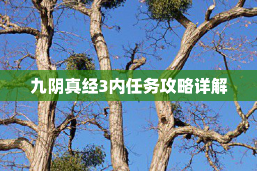 九阴真经3内任务攻略详解图片