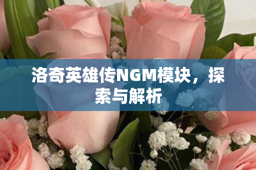 洛奇英雄传NGM模块图片