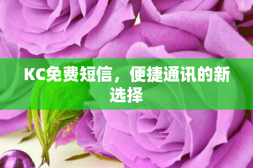 便捷通讯的新选择图片
