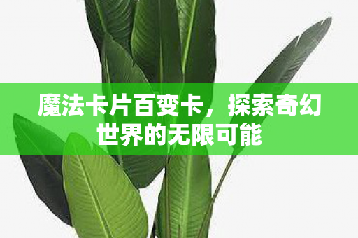 探索奇幻世界的无限可能图片