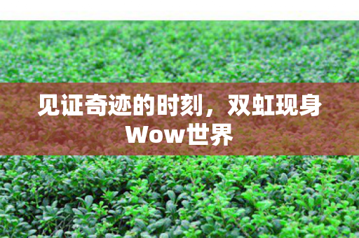 双虹现身Wow世界图片
