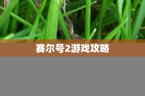 赛尔号2游戏攻略图片