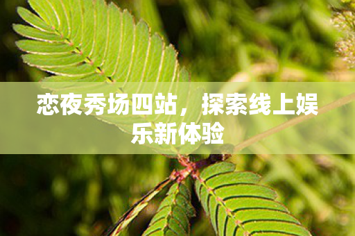 探索线上娱乐新体验图片