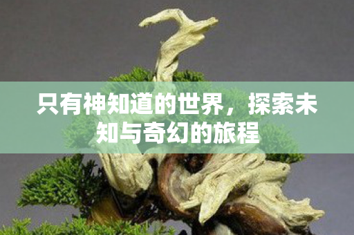 探索未知与奇幻的旅程图片