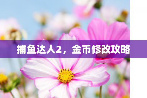 金币修改攻略图片