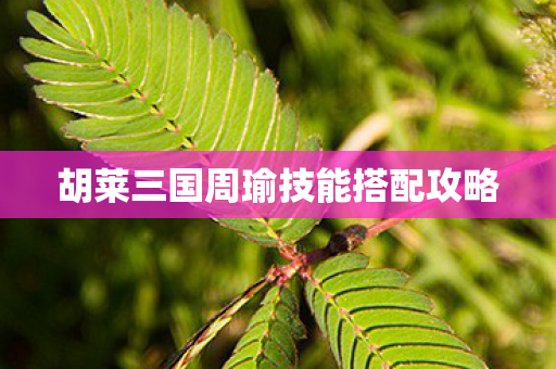胡莱三国周瑜技能搭配攻略图片