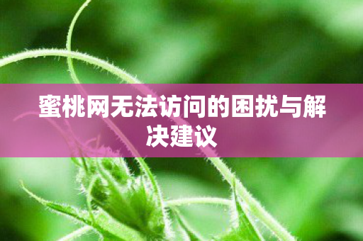 蜜桃网无法访问的困扰与解决建议图片