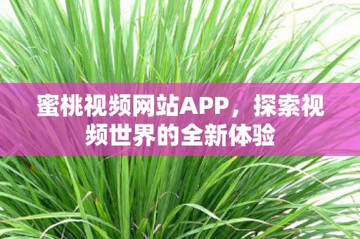 探索视频世界的全新体验图片