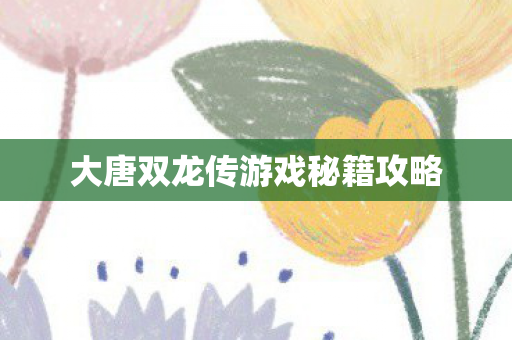 大唐双龙传游戏秘籍攻略图片