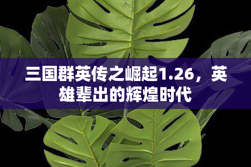 三国群英传之崛起1图片