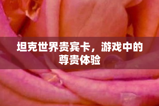 游戏中的尊贵体验图片