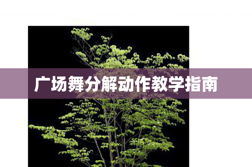 广场舞分解动作教学指南图片