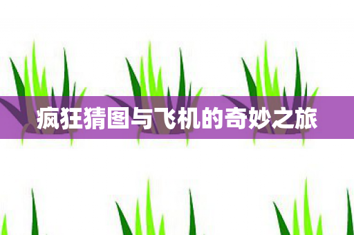 疯狂猜图与飞机的奇妙之旅图片