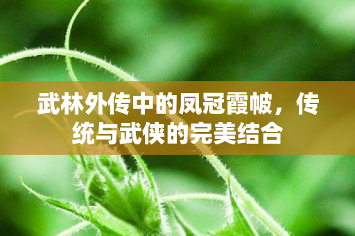 武林外传中的凤冠霞帔图片