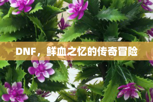 鲜血之忆的传奇冒险图片