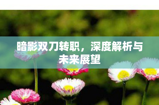 深度解析与未来展望图片