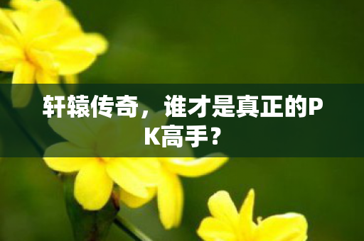 谁才是真正的PK高手图片