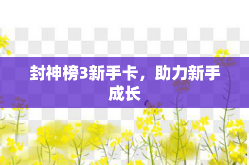 封神榜3新手卡图片