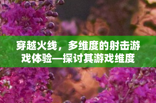多维度的射击游戏体验图片