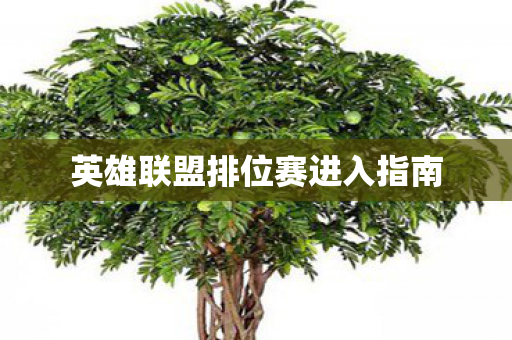 英雄联盟排位赛进入指南图片