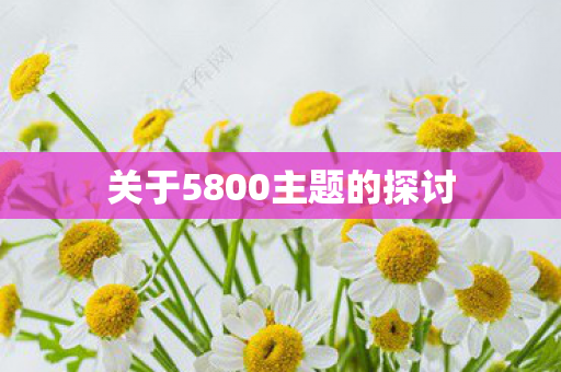 关于5800主题的探讨图片