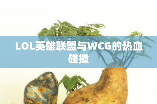 LOL英雄联盟与WCG的热血碰撞图片