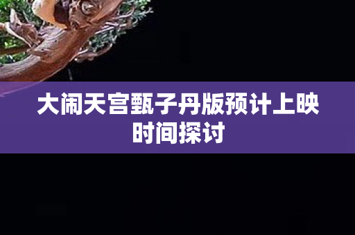 大闹天宫甄子丹版预计上映时间探讨图片