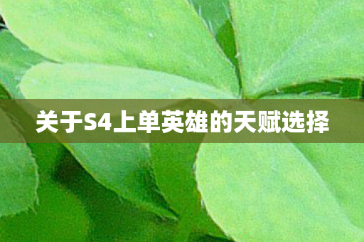 关于S4上单英雄的天赋选择图片