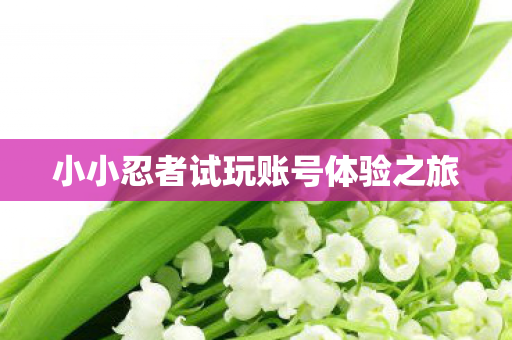 小小忍者试玩账号体验之旅图片