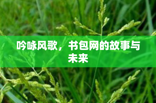 书包网的故事与未来图片