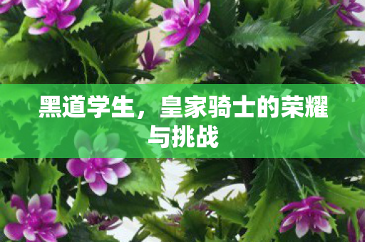 皇家骑士的荣耀与挑战图片