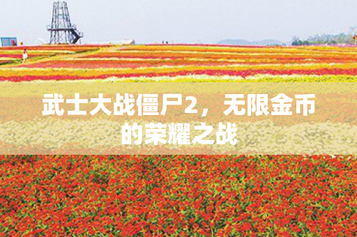 无限金币的荣耀之战图片